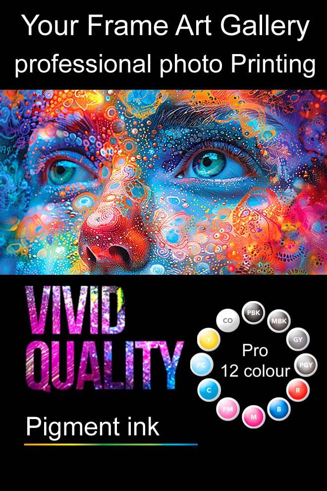 vivid-colour