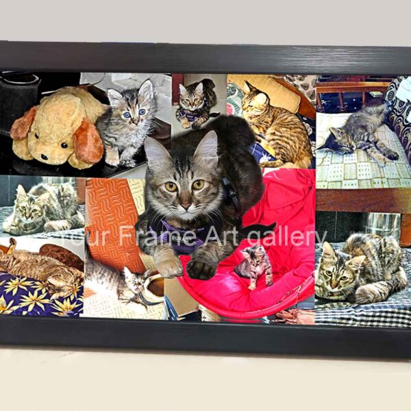 Custom pet photo collage frame in Coimbatore