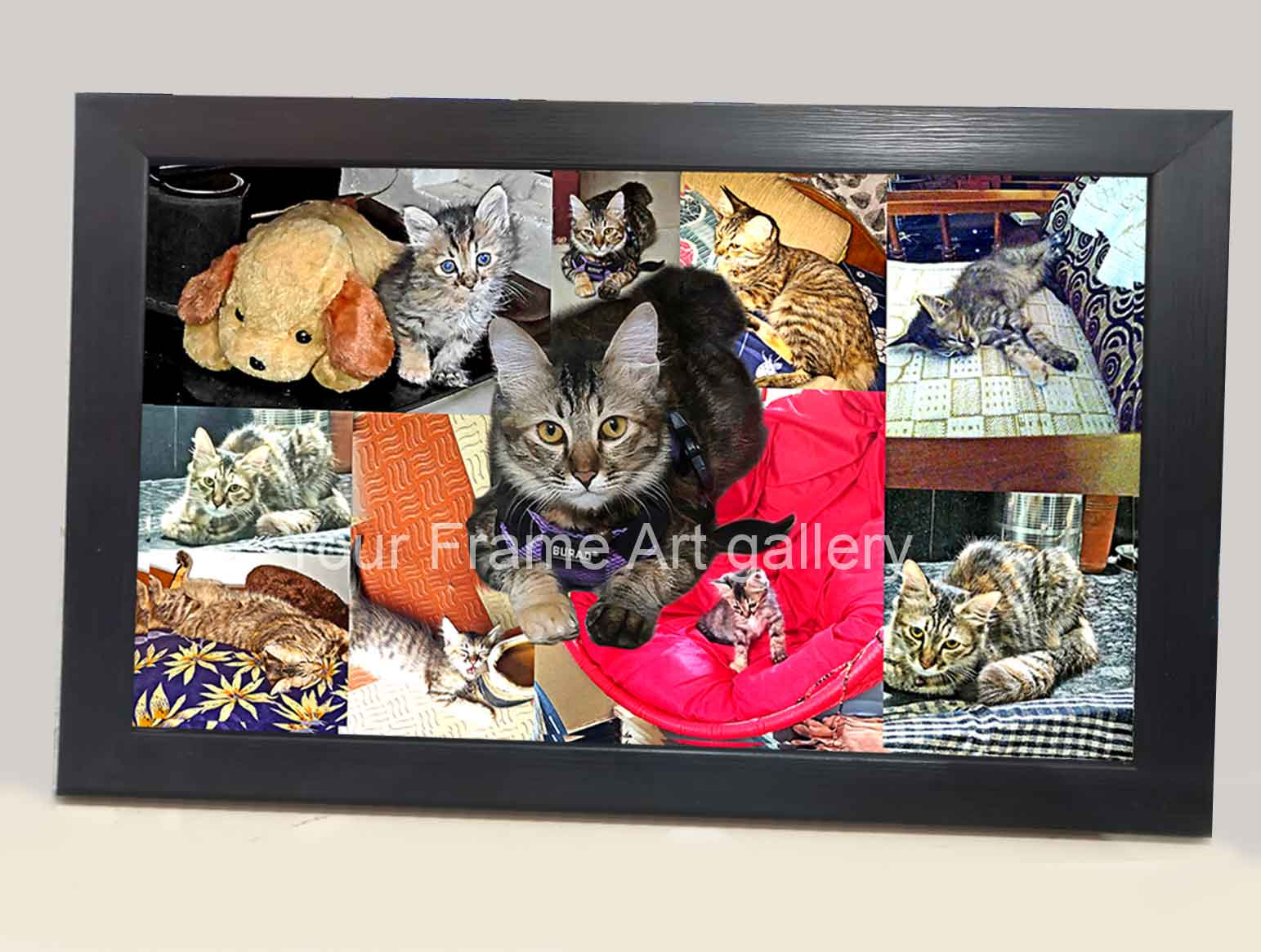 custom-pet-photo-collage-frame-coimbatore.jpg Custom pet photo collage frame in Coimbatore